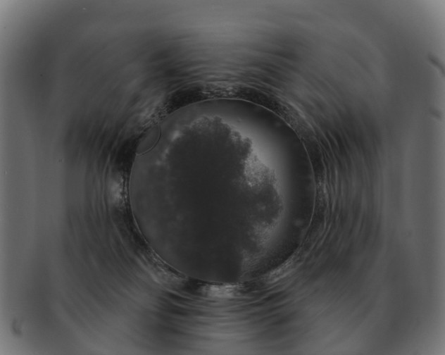 X0000091330134200708241209