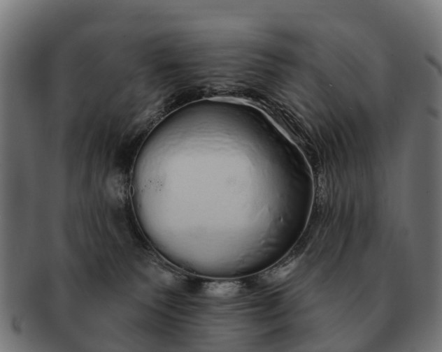 X0000091330135200708241209