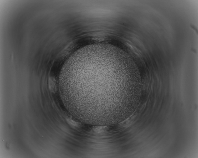 X0000091330136200708241209