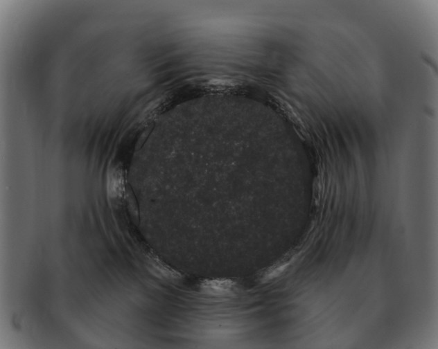 X0000091330137200708241209