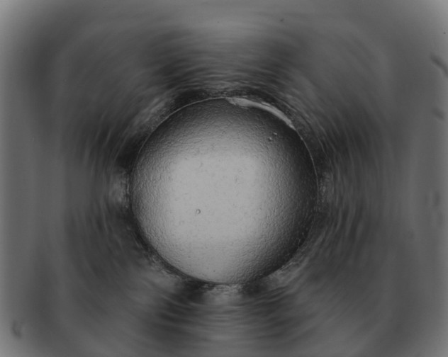 X0000091330138200708241209