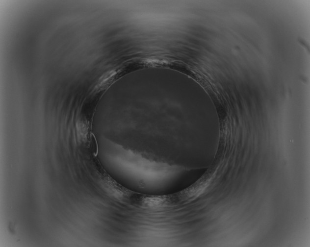 X0000091330139200708241209