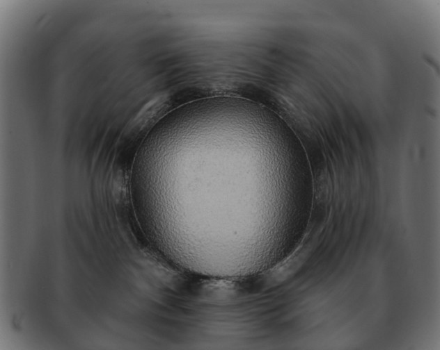 X0000091330140200708241209