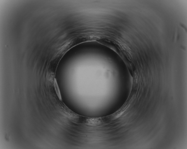 X0000091330141200708241209