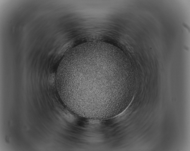 X0000091330144200708241209