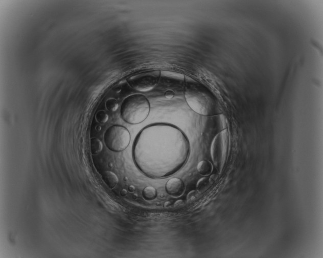 X0000091330145200708241208