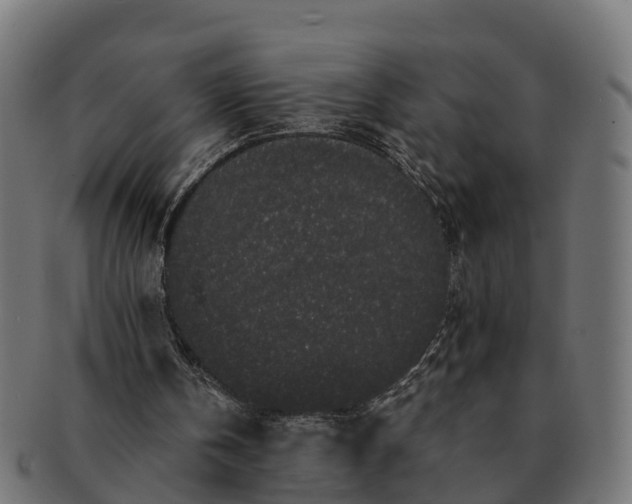 X0000091330146200708241208