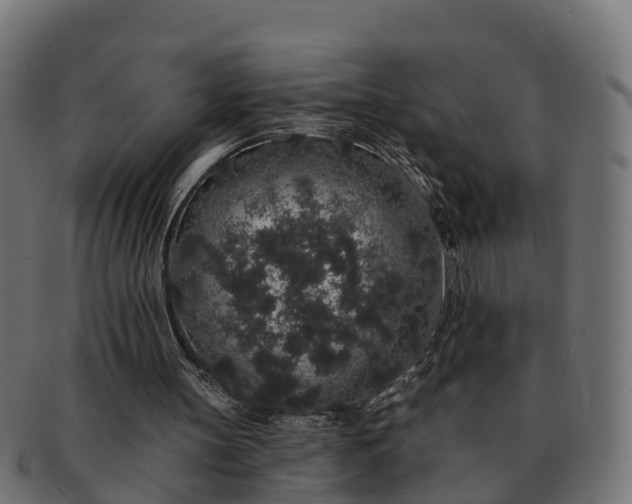 X0000091330147200708241208