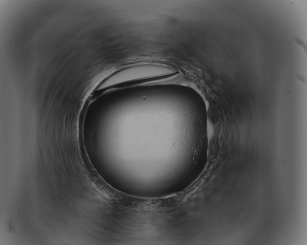 X0000091330148200708241208