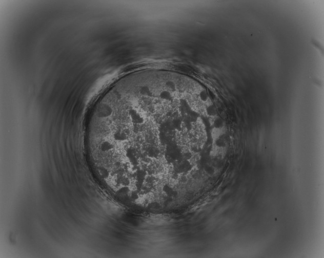 X0000091330149200708241208