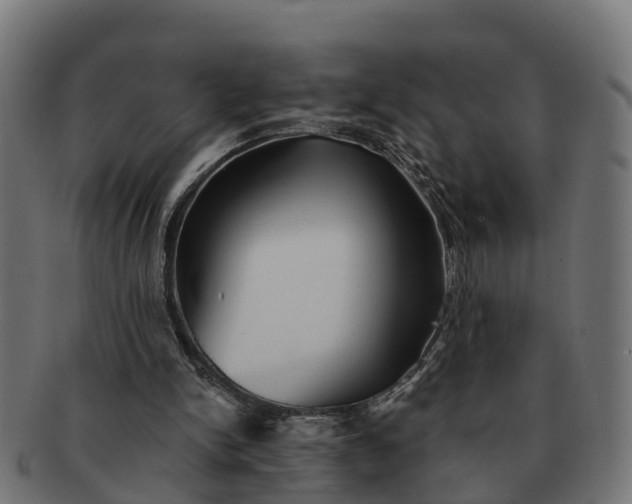 X0000091330150200708241208