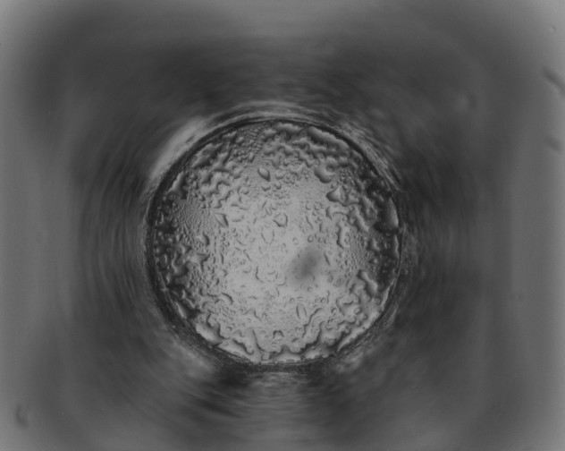 X0000091330151200708241208