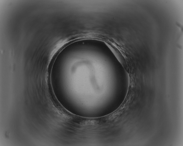 X0000091330152200708241208