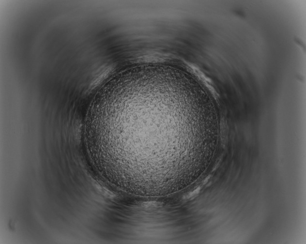 X0000091330153200708241208