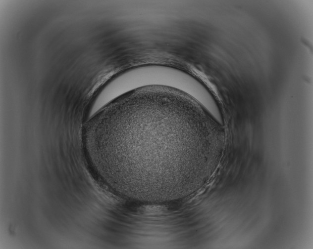 X0000091330154200708241208