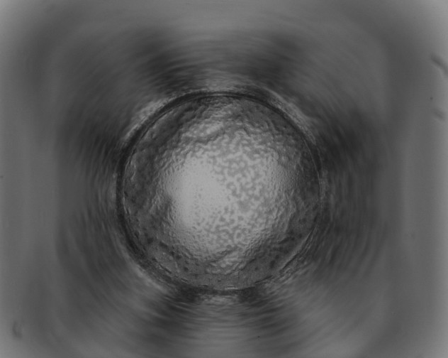 X0000091330155200708241209