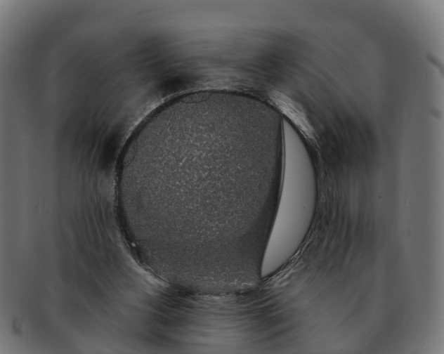 X0000091330156200708241209