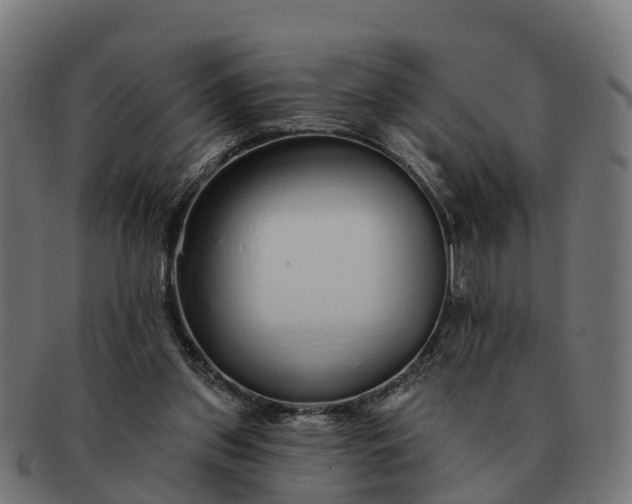 X0000091330157200708241209