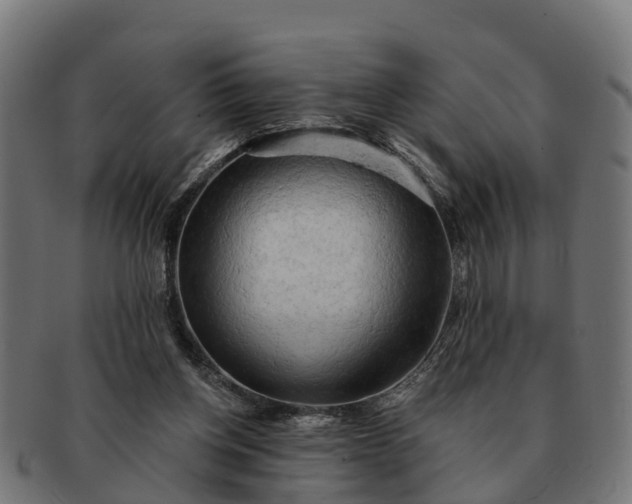 X0000091330158200708241209