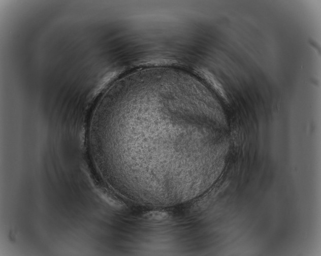 X0000091330159200708241209