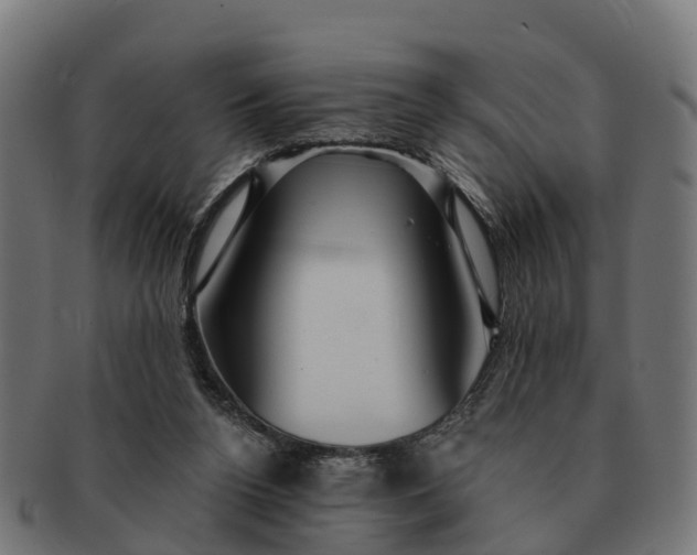 X0000091330160200708241209