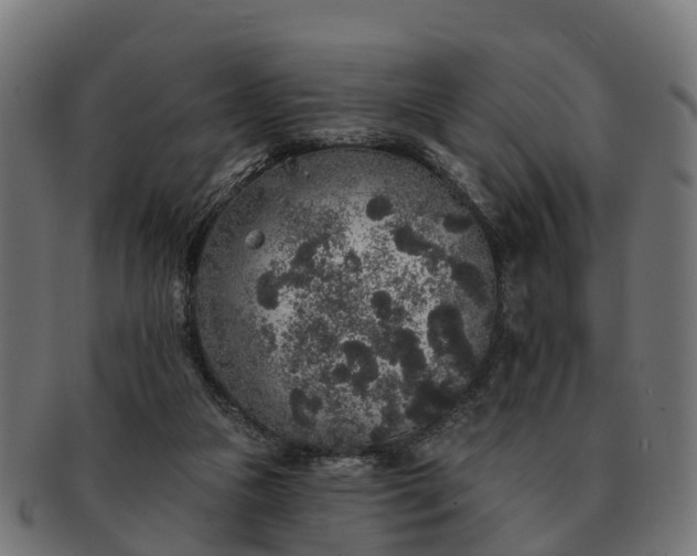 X0000091330161200708241209