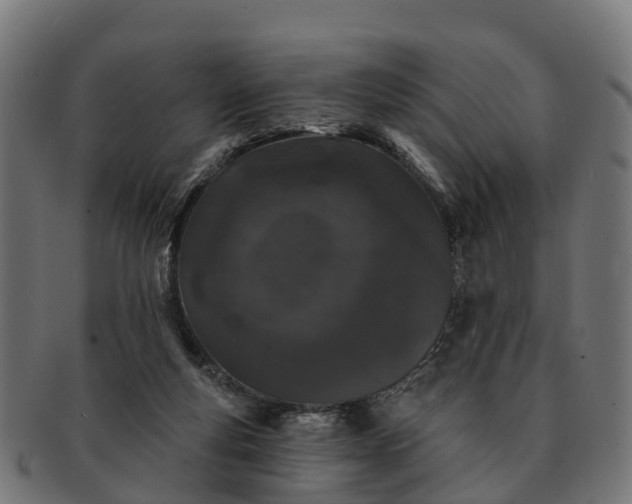 X0000091330163200708241209