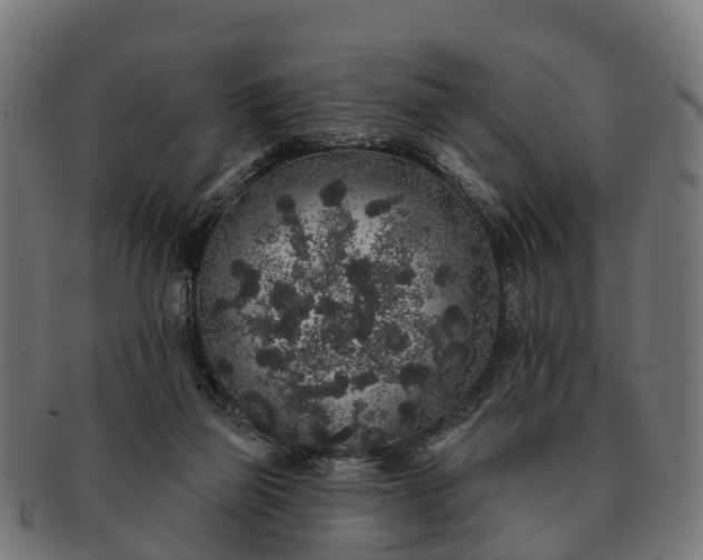 X0000091330165200708241209