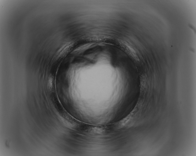 X0000091330166200708241209