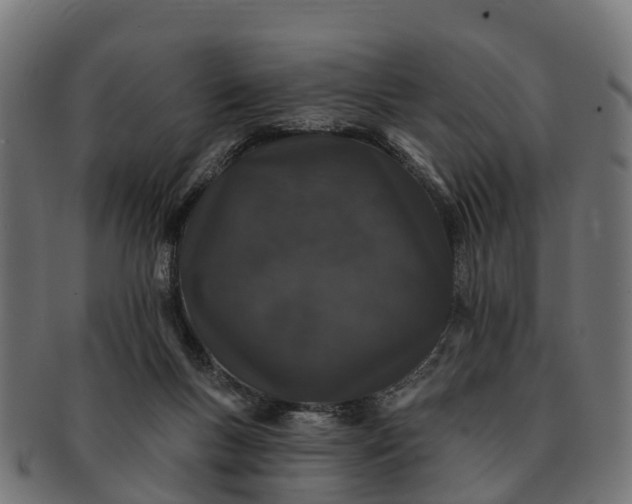 X0000091330167200708241209