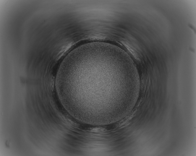 X0000091330168200708241209