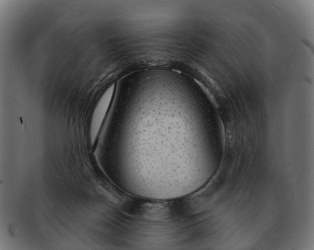 X0000091330170200708241209