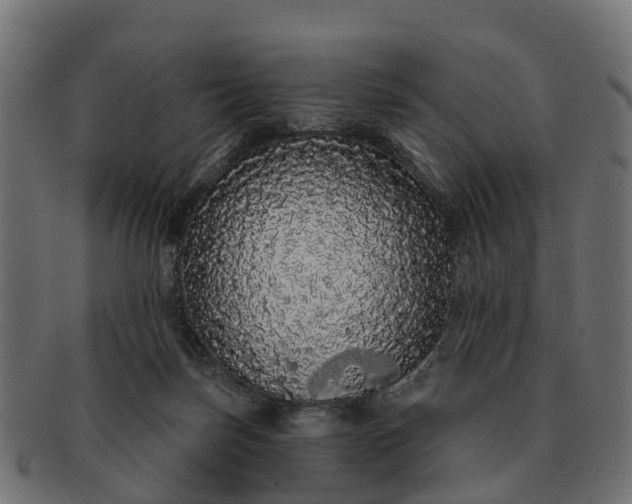 X0000091330171200708241209