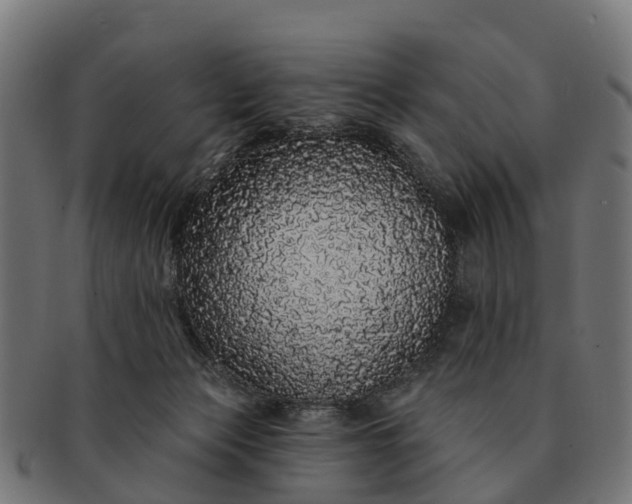 X0000091330173200708241209