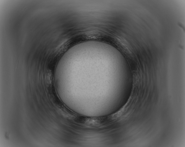 X0000091330174200708241209