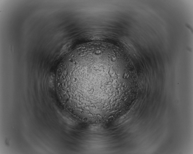 X0000091330175200708241209