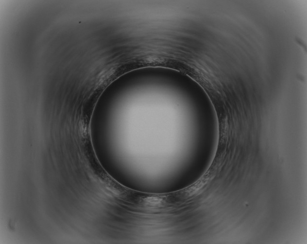 X0000091330176200708241209