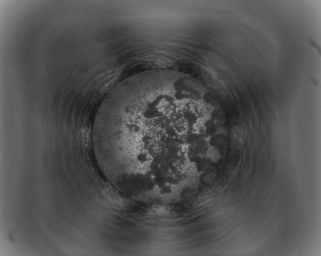 X0000091330177200708241209