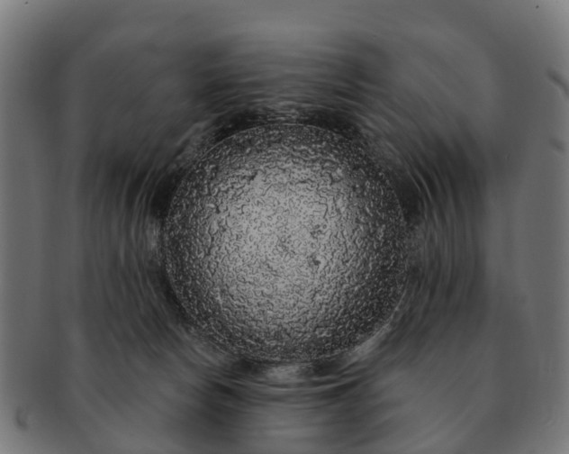 X0000091330178200708241209