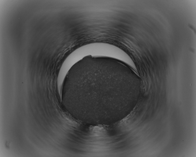 X0000091330180200708241209