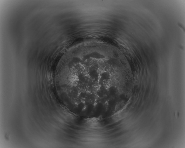 X0000091330182200708241209