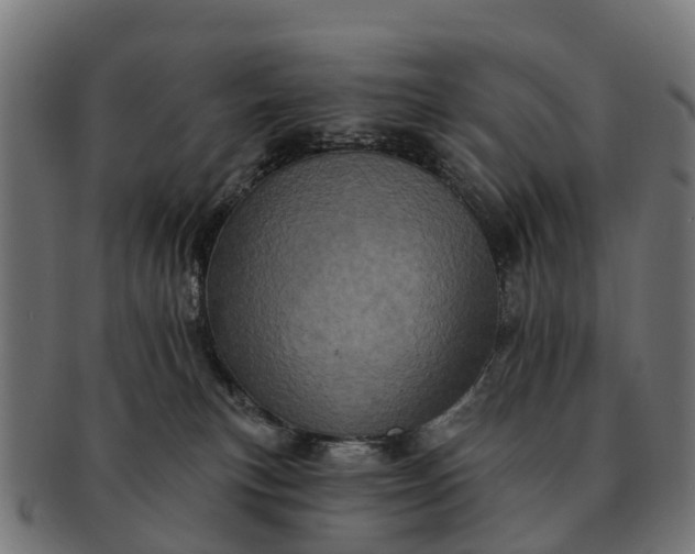 X0000091330183200708241209