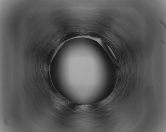 X0000091330184200708241209