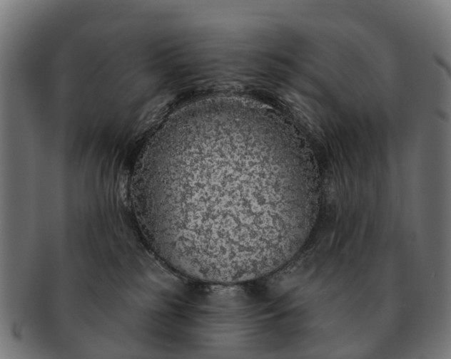 X0000091330185200708241209