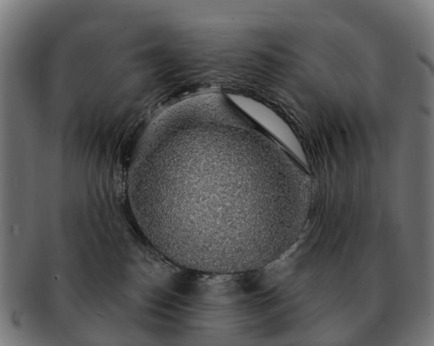 X0000091330186200708241209