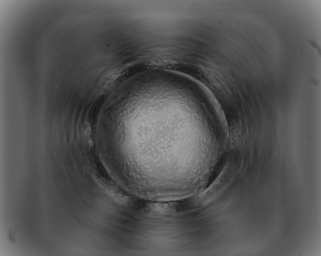 X0000091330187200708241209