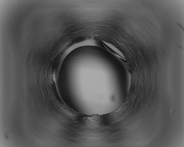 X0000091330188200708241209