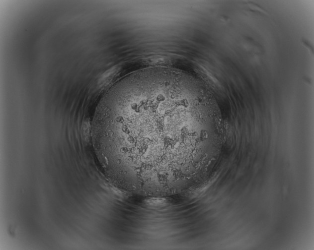 X0000091330189200708241209