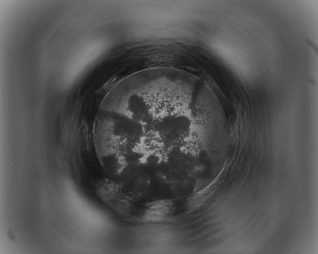 X0000091330191200708241209