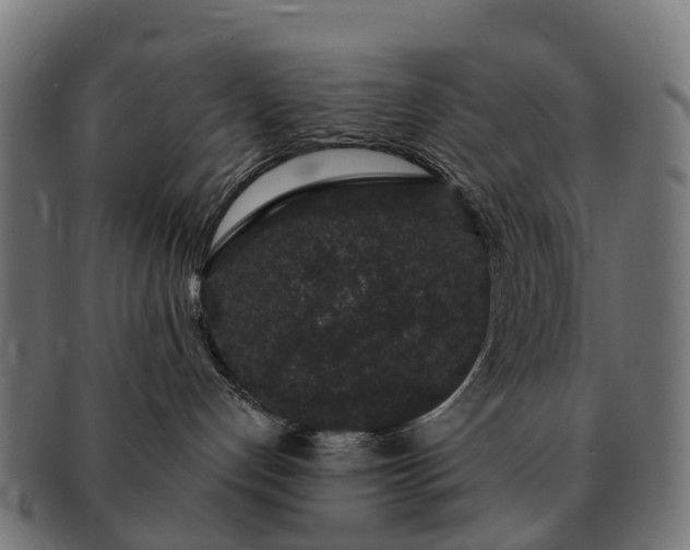 X0000091330192200708241209